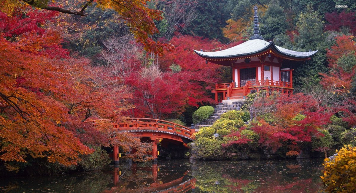 Spring blossoms in Kyoto