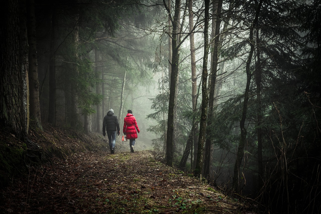 A couple walking in a forest