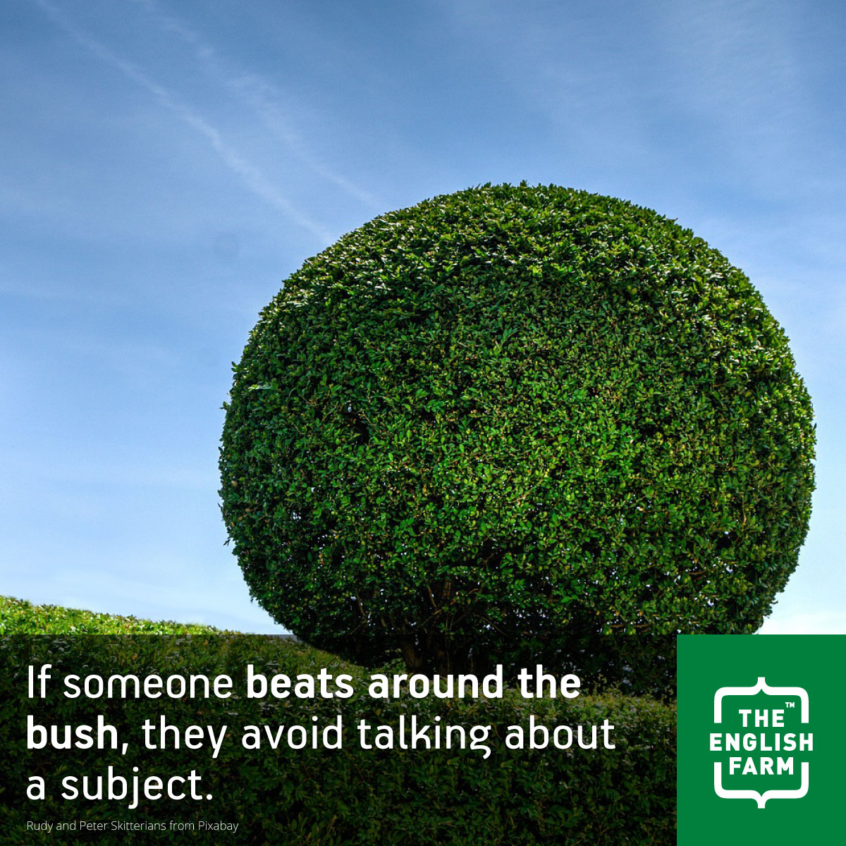 beat-around-the-bush-idiom