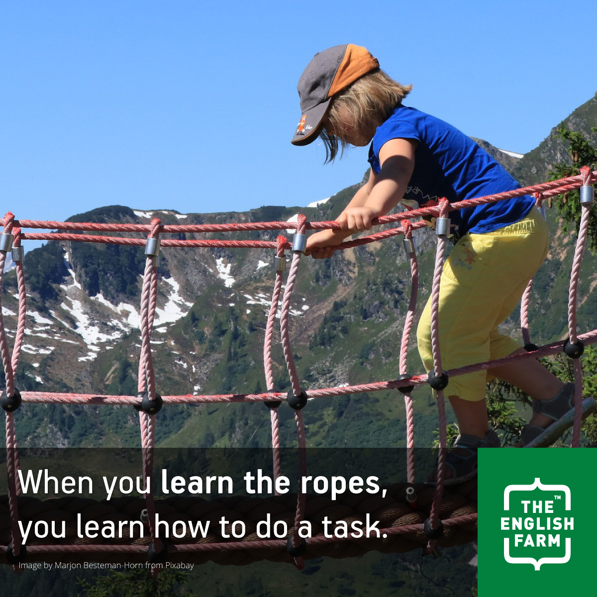 Learn the ropes  The English Farm