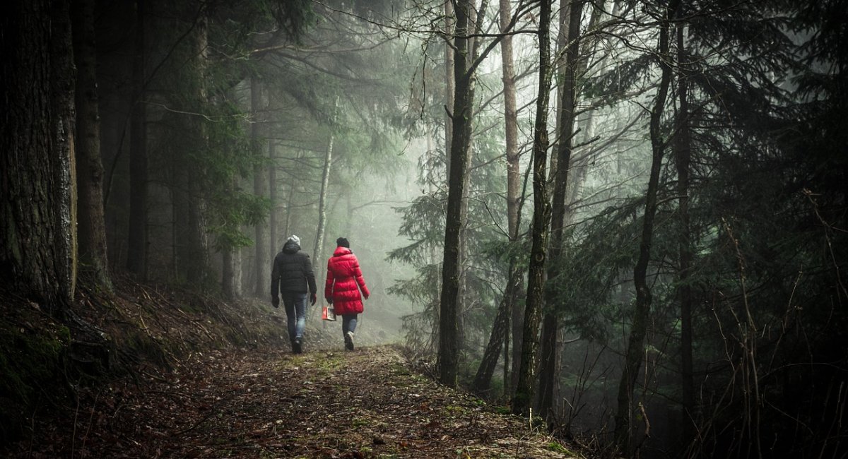 A couple walking in a forest